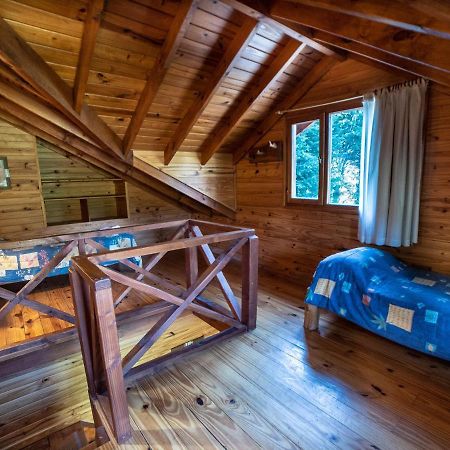 Hosteria Pichi Rincon Villa La Angostura Dış mekan fotoğraf